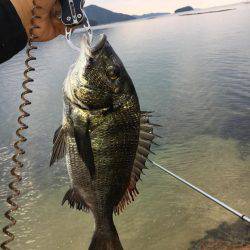 気になっていた地磯