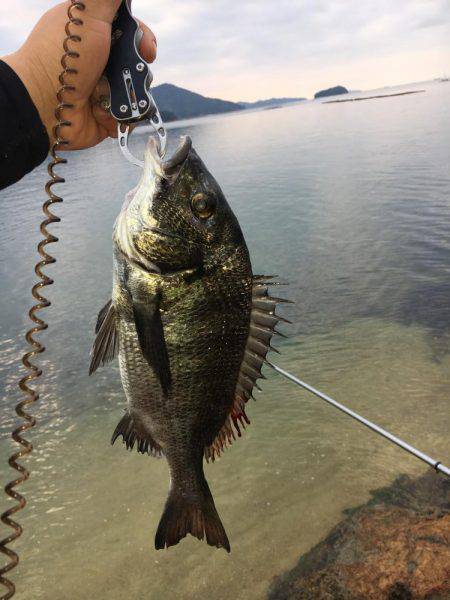 気になっていた地磯
