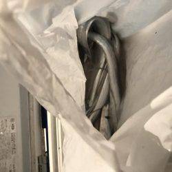 今年初武庫川一文字！