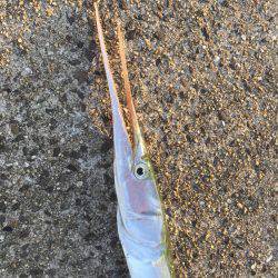 ショアジギング