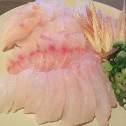 オフショアジギング