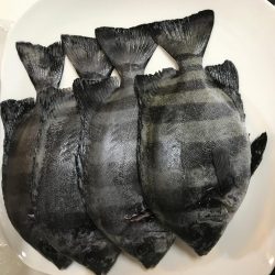 ポーアイチャレンジ