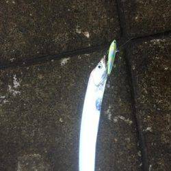 雨に降られても