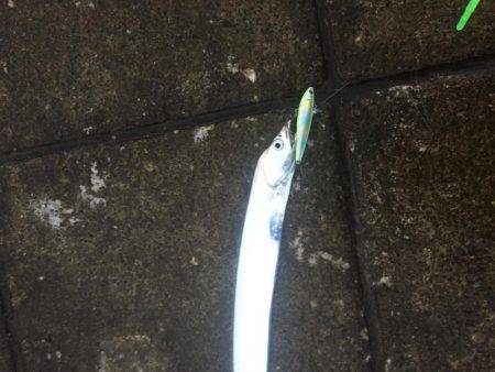 雨に降られても