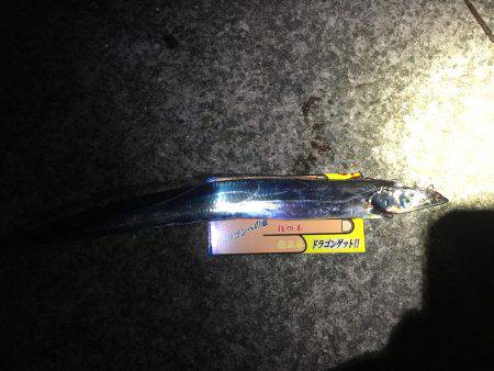 スローワインド