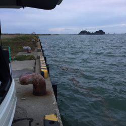 小雨の中、タチウオ