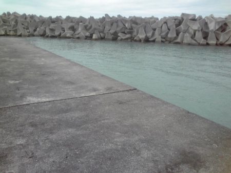 タチウオと小アジ