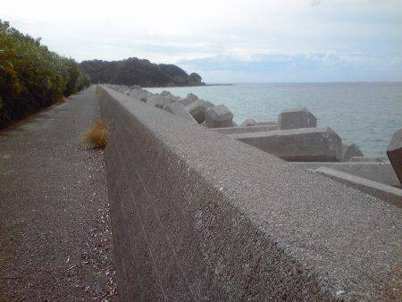 テトラでガシラ釣り