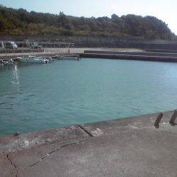 シマアジとフエフキダイ