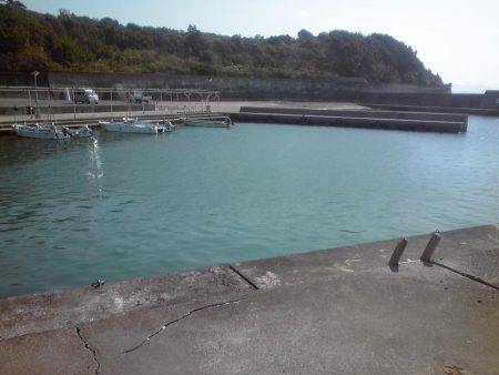 シマアジとフエフキダイ