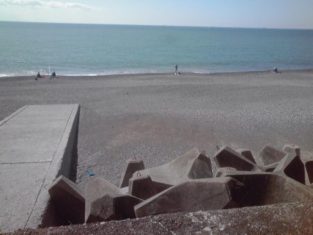 シマイサキ12匹