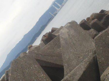 久し振りのアジつり・・・アオリイカ一杯・・