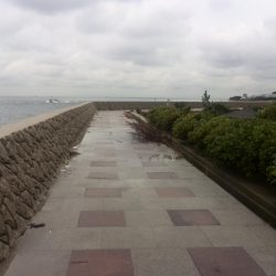 雨の中エギング