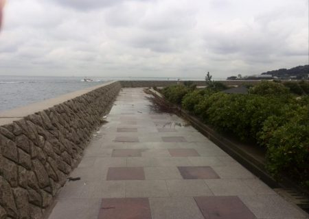 雨の中エギング