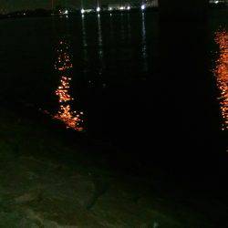 豆アジすこしサイズアップ♪