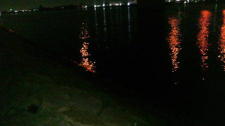 豆アジすこしサイズアップ♪