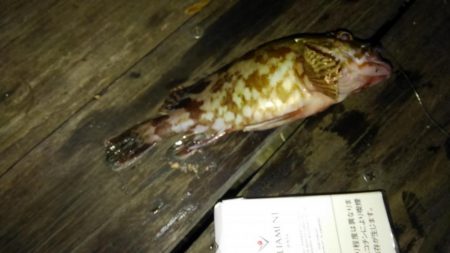 コスモにて探り釣り