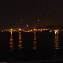 なんとか釣れた