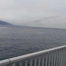 ショアジギボウズ