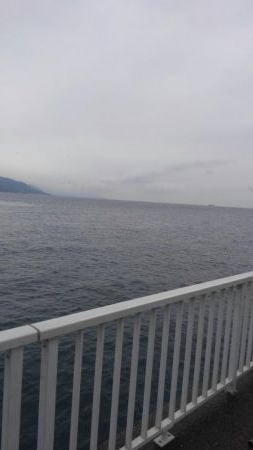 ショアジギボウズ