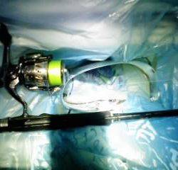 強風、大雨のなか太刀狩り