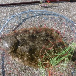 エギングついでに・・・・