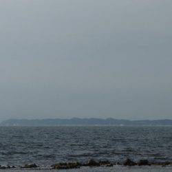 シブいエギング