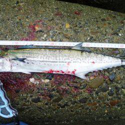 なんとか１匹～