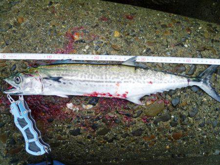 なんとか１匹～