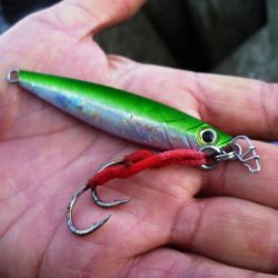 〇〇がいるだけで．．．