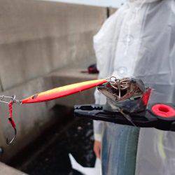 本日もたまや渡船で沖堤防♪