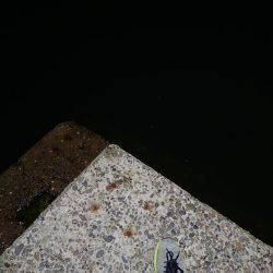 最後に強烈な当たり！