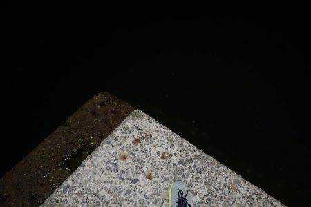 最後に強烈な当たり！