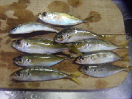 岩代港に再チャレンジ