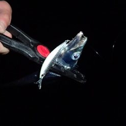 雨の太刀魚後サバゲーム