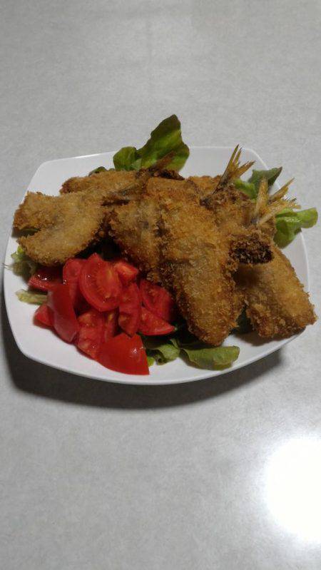 ちょいなげサビキ