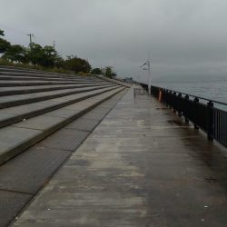 いとこの初めて