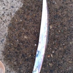 ポートアイランド 北口公園