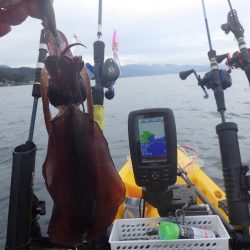 ティップランエギング