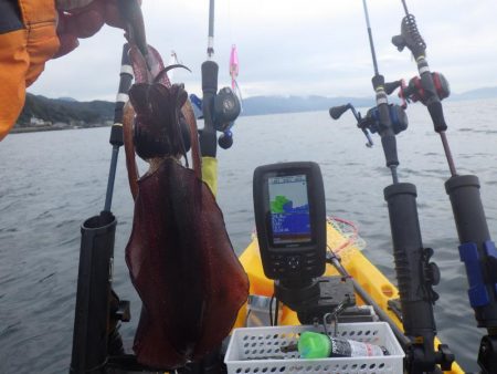 ティップランエギング