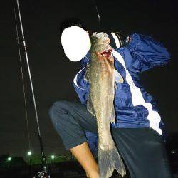 ソラリアでシーバス