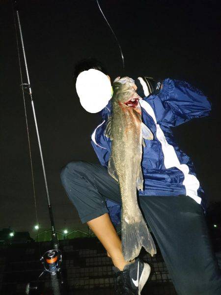 ソラリアでシーバス