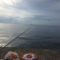 浜吉丸でいく小浦一文字7