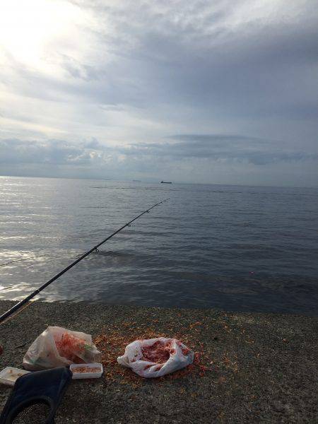 浜吉丸でいく小浦一文字7