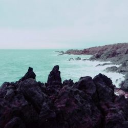 小さくても青物