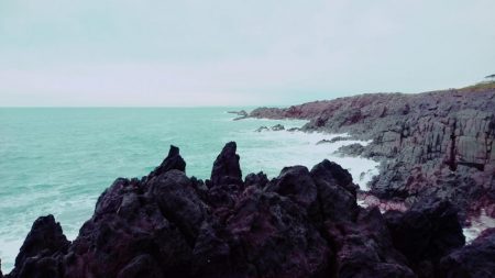 小さくても青物