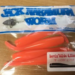 フラットフィッシュ狙いで