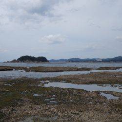 大物こそ釣れなかったけど…
