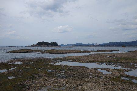 大物こそ釣れなかったけど…