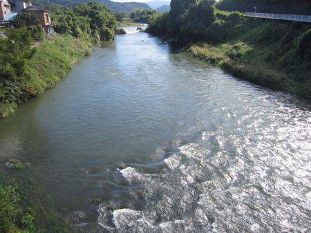 狩野川(狩野川漁業協同組合) 釣果